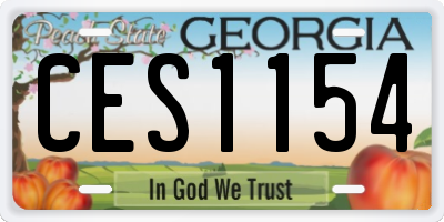 GA license plate CES1154