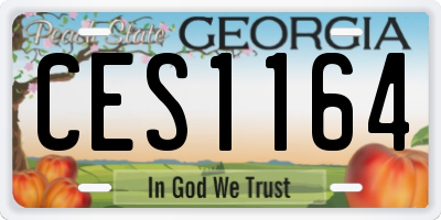 GA license plate CES1164