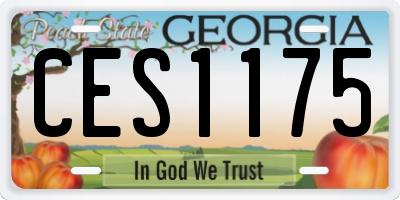 GA license plate CES1175