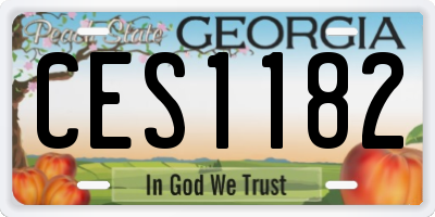 GA license plate CES1182