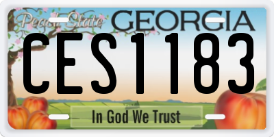 GA license plate CES1183
