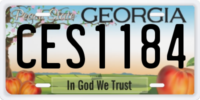 GA license plate CES1184
