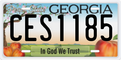 GA license plate CES1185