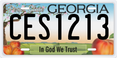 GA license plate CES1213