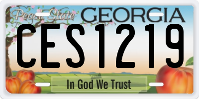 GA license plate CES1219