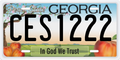 GA license plate CES1222