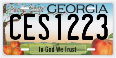 GA license plate CES1223