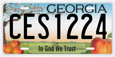 GA license plate CES1224