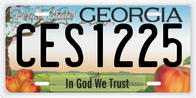 GA license plate CES1225