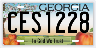 GA license plate CES1228