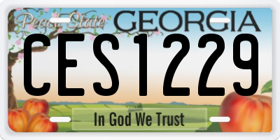 GA license plate CES1229