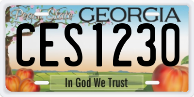 GA license plate CES1230