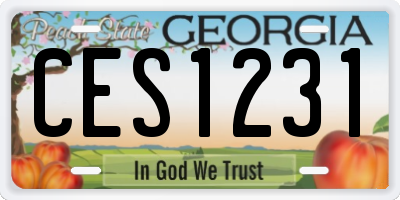 GA license plate CES1231