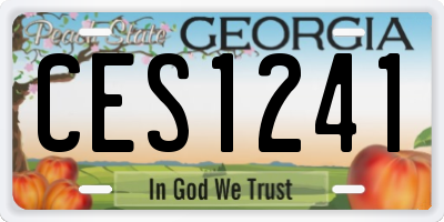 GA license plate CES1241