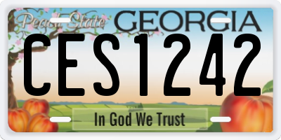 GA license plate CES1242