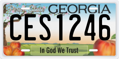 GA license plate CES1246