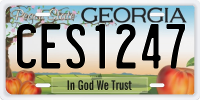 GA license plate CES1247