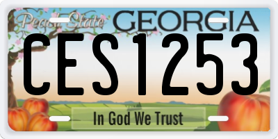GA license plate CES1253