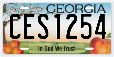 GA license plate CES1254