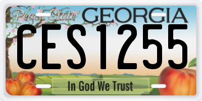 GA license plate CES1255