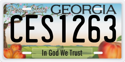 GA license plate CES1263