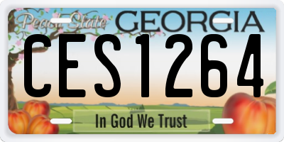 GA license plate CES1264