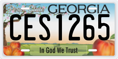 GA license plate CES1265