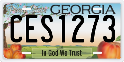 GA license plate CES1273