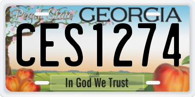 GA license plate CES1274