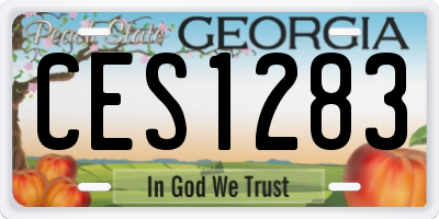 GA license plate CES1283