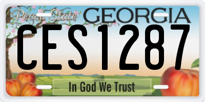 GA license plate CES1287