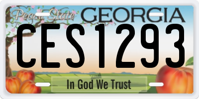 GA license plate CES1293