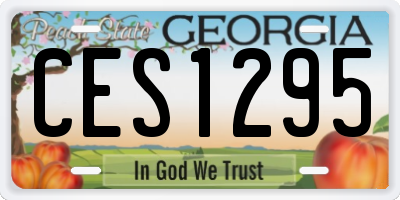 GA license plate CES1295
