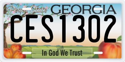 GA license plate CES1302