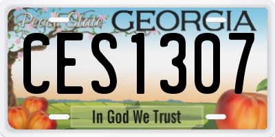 GA license plate CES1307