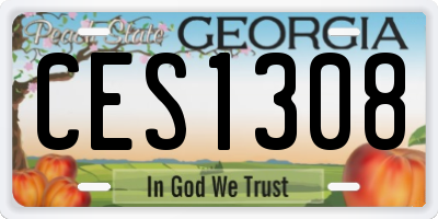 GA license plate CES1308