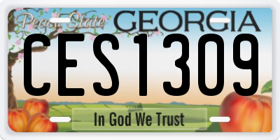 GA license plate CES1309