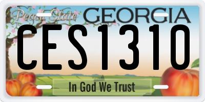 GA license plate CES1310