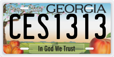 GA license plate CES1313