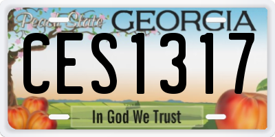 GA license plate CES1317