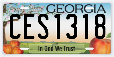 GA license plate CES1318