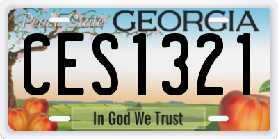 GA license plate CES1321
