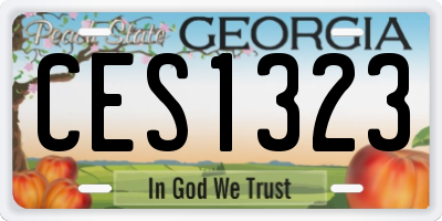 GA license plate CES1323