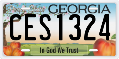 GA license plate CES1324
