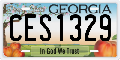 GA license plate CES1329