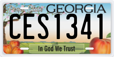 GA license plate CES1341