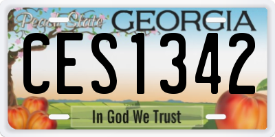 GA license plate CES1342
