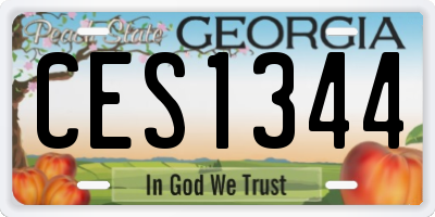 GA license plate CES1344