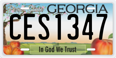 GA license plate CES1347