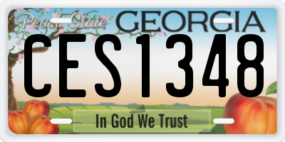 GA license plate CES1348